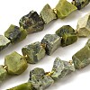 Raw Rough Natural Serpentine Beads Strands G-Z087-B14-2