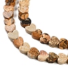 Natural Picture Jasper Beads Strands G-M403-A10-02-4