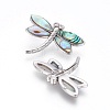 Abalone Shell/Paua Shell Pendants LS-SSHEL-L008-71P-3