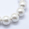 Shell Pearl Beads Strands BSHE-K053-02-12mm-3