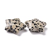 Natural Dalmatian Jasper Beads G-P469-12A-04-3