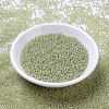 MIYUKI Round Rocailles Beads SEED-JP0008-RR0359-2