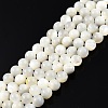 Natural White Shell Bead Strands SSHEL-N003-144E-01-1