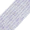 Natural Amethyst Beads Strands G-G106-A30-01-1