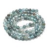 Natural Apatite Beads Strands G-G161-A11-03-4