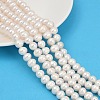 Natural Cultured Freshwater Pearl Beads Strands PEAR-I007-07Z-07C-1