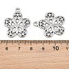304 Stainless Steel Pendants SA-CBA1839-14P-3