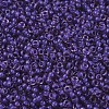 MIYUKI Round Rocailles Beads SEED-JP0008-RR1932-2