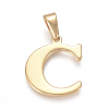 304 Stainless Steel Pendants STAS-F106-95G-C-1