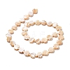 Natural Trochid Shell Beads Strands SSHEL-G023-09A-2