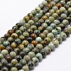 Natural African Turquoise(Jasper) Beads Strands LS-G-D840-90-10mm-1