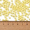 Baking Painted Glass Seed Beads SEED-C004-01O-4