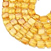Natural Amber Beads Strands G-C260-A01-01-4