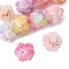10Pcs 10 Colors Resin Beads RESI-FS0002-24B-3