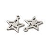Non-Tarnish 304 Stainless Steel Charms LS-STAS-L022-035P-2
