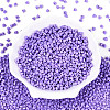 Baking Paint Glass Seed Beads SEED-N007-30K-2