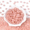 Transparent Colours Glass Seed Beads SEED-N007-39B-09-2