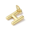 Rack Plating Brass Charms KK-P245-06G-H-2
