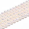 Natural Cultured Freshwater Pearl Beads Strands PEAR-N016-04B-2