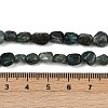 Natural Green Quartz Beads Strands G-Q060-D13-5