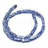 Natural Blue Spot Jasper Beads Strands G-F631-E04-2