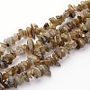 Natural Labradorite Chips Beads Strands LS-F069-2