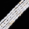 Natural Freshwater Shell Beads Strands SHEL-N026-213-A01-1