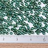 MIYUKI Round Rocailles Beads SEED-G007-RR0289-3