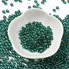 Glass Seed Beads X1-SEED-H002-C-A050-2
