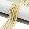 Natural Yellow Opal Beads Strands G-H042-B03-01-2