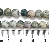 Natural Tree Agate Frosted Agate Round Gemstone Beads Strands G-O151-01-6mm-3