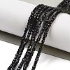 Natural Black Tourmaline Beads Strands G-H042-B21-01-2