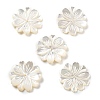 Natural White Shell Carved Beads SSHEL-Z002-03-1