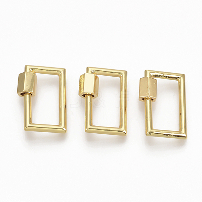 Brass Screw Carabiner Lock Charms KK-T047-10G-1