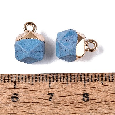 Dyed Synthetic Turquoise Pendants G-N359-18G-20-1