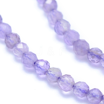 Natural Amethyst Beads Strands G-I279-E04-03-1