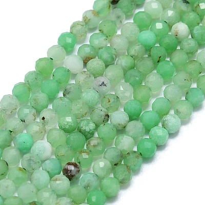Natural Chrysoprase Beads Strands G-G106-C01-02-1