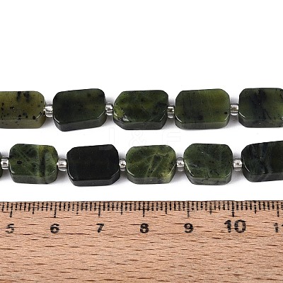 Natural Canadian Jade Beads Strands G-T138-26A-07-1