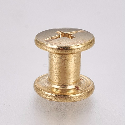 Iron Screw Rivets IFIN-WH0051-09A-G-1