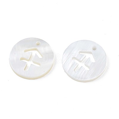 Natural Freshwater Shell Charms SHEL-N027-10C-1