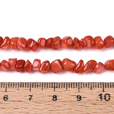 Natural Freshwater Shell Beads Strands SHEL-N037-04D-1