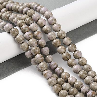 Natural Rainbow Alashan Agate Beads Strands G-NH0022-A09-02-1