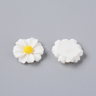 Resin Cabochons RESI-TAC0006-02C-05-1