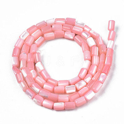 Natural Trochid Shell/Trochus Shell Beads Strands SHEL-N003-26-B05-1