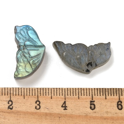 Natural Labradorite Carved Cabochons G-C152-03A-1