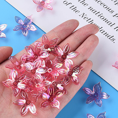 Transparent Acrylic Beads LS-MACR-S373-102-C01-1