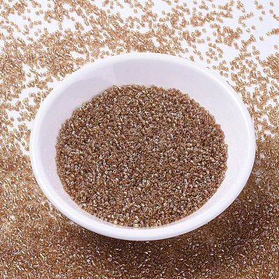 MIYUKI Delica Beads X-SEED-J020-DB1241-1