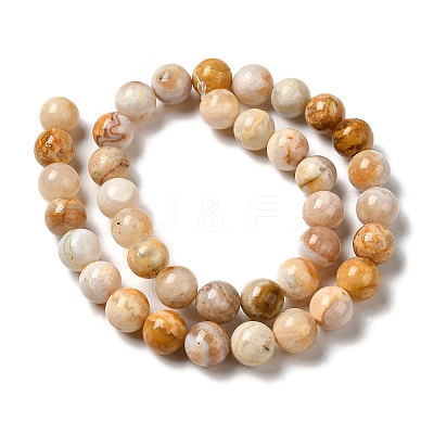 Natural Crazy Lace Agate Beads Strands G-H298-A12-04-1