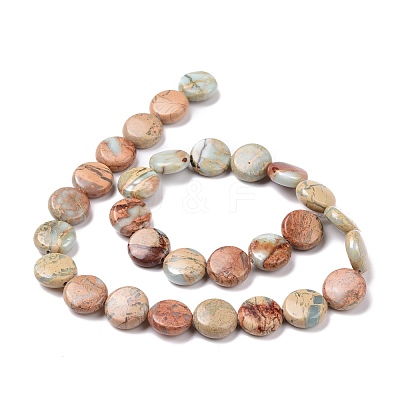 Natural Aqua Terra Jasper Beads Strands G-E572-02-1