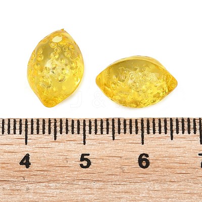 Transparent Acrylic Pendants OACR-G065-01B-1